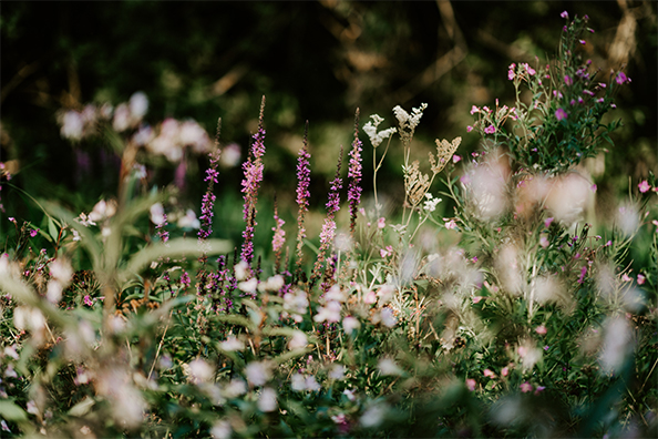 floral